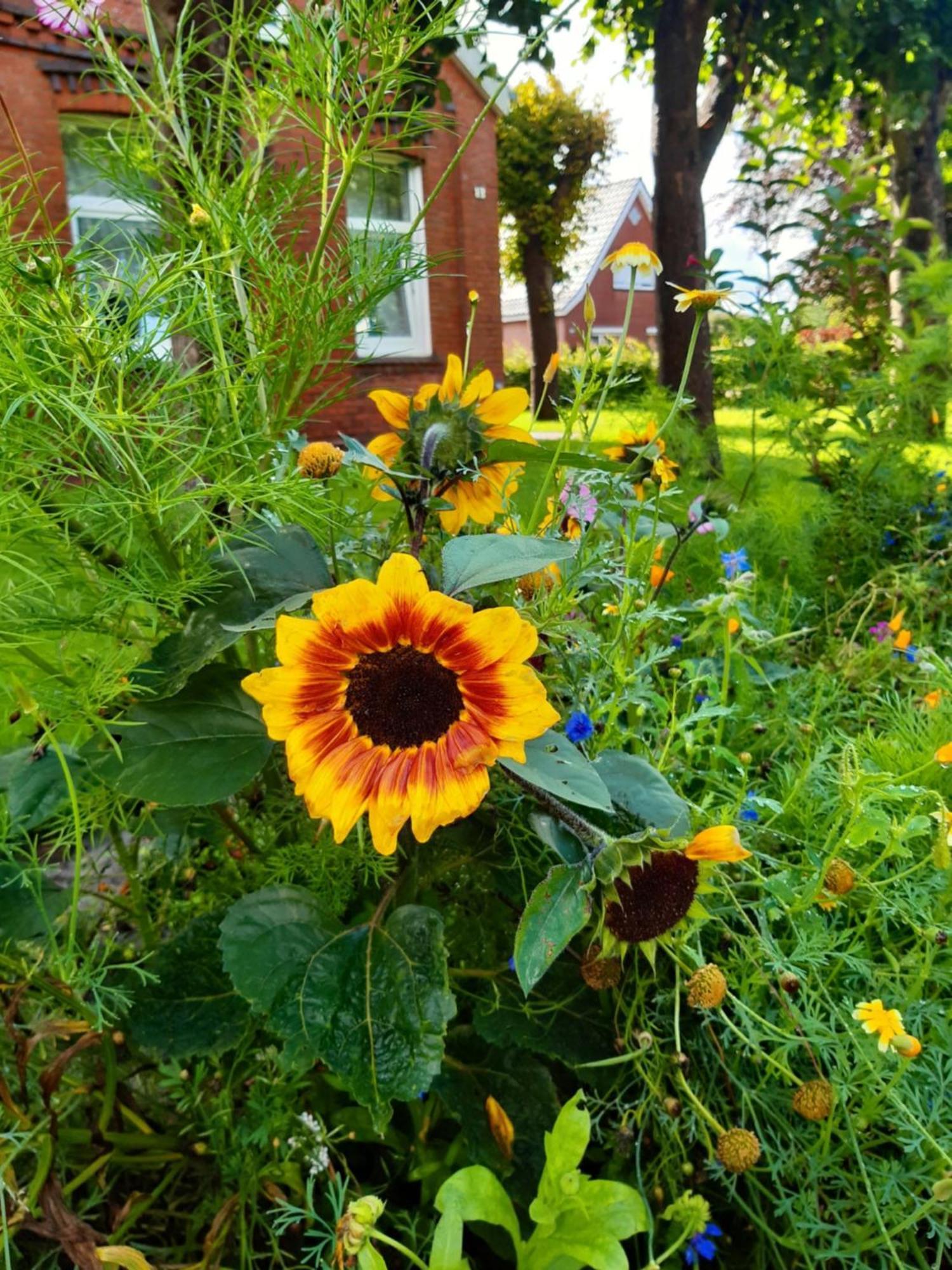 Holiday Home Kettler By Interhome Weener エクステリア 写真